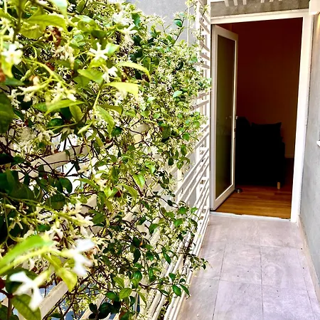 Salotto - Luxury In The